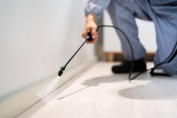 Licensed Pest Control service in Hughesville, MD - Show Me Pest Control