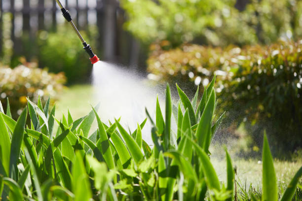 24/7 Emergency Mosquito Control experts in Hughesville, MD