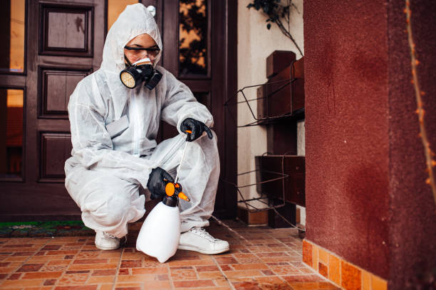 Reliable Mosquito Control contractor in Hughesville, MD by Show Me Pest Control